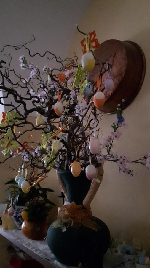 Trattoria Bar Pace Otel Re Dış mekan fotoğraf